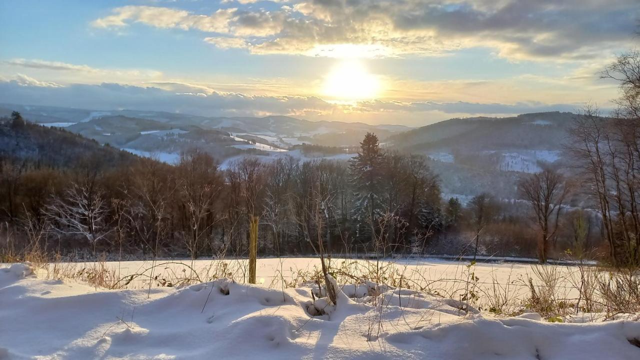 Ferienwohnung Sauerland Fernblick Olsberg Buitenkant foto