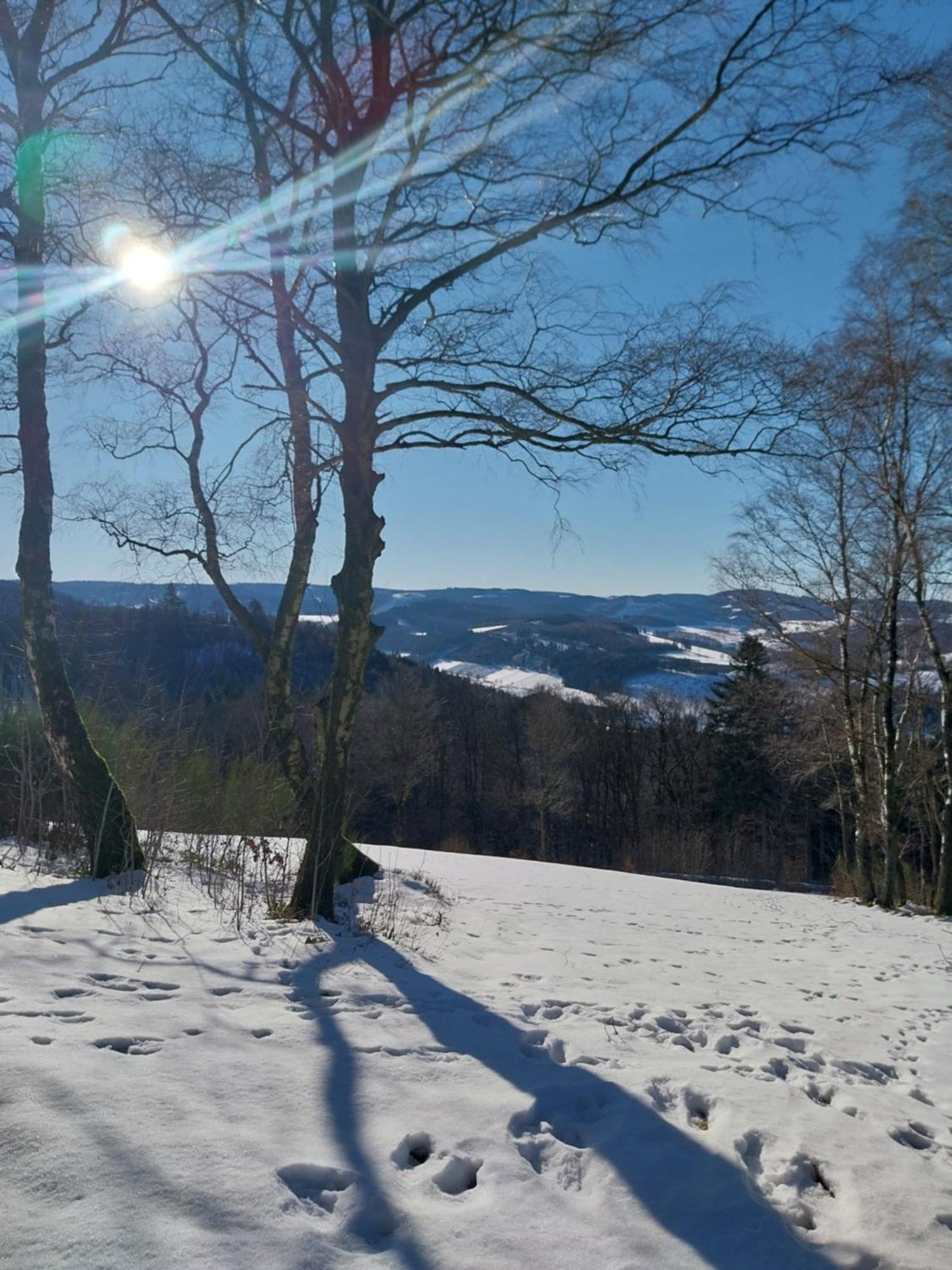 Ferienwohnung Sauerland Fernblick Olsberg Buitenkant foto