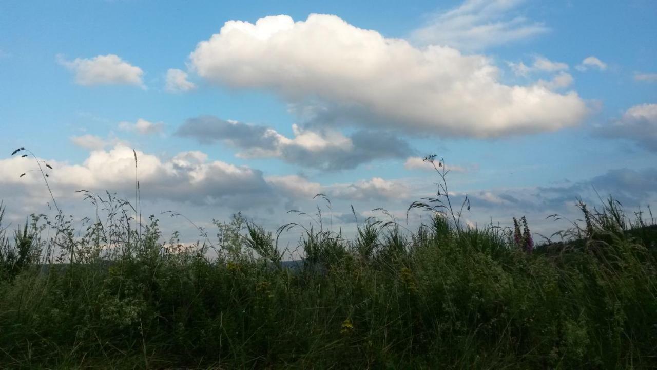 Ferienwohnung Sauerland Fernblick Olsberg Buitenkant foto